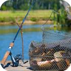 Привлекательные места для рыбалки в Ленинградской области